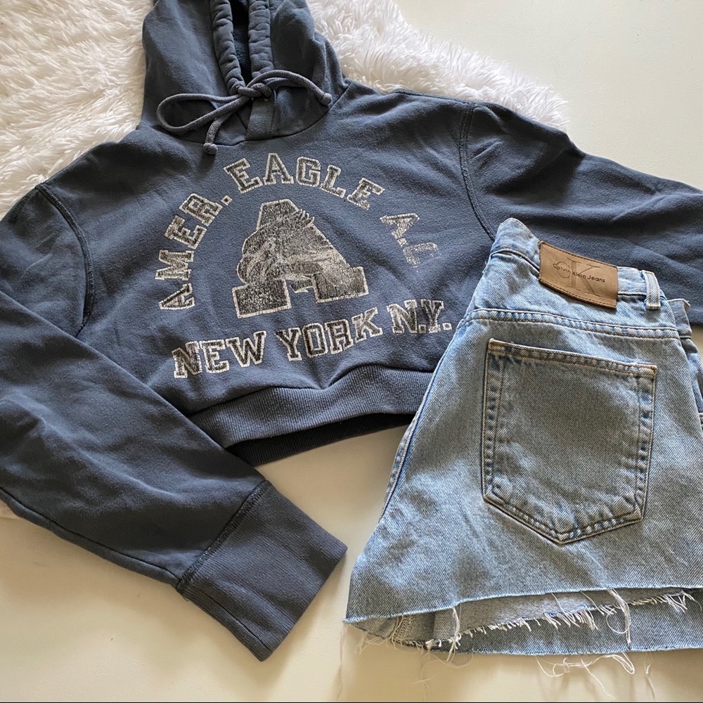 Blue American Eagle Crop Hoodie Sweater